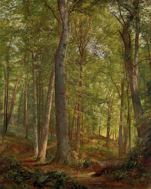 June Woods by William Trost Richards